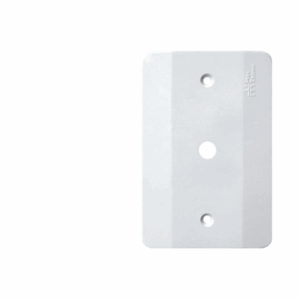 PLACA 2X4 1FURO MILLENIUM