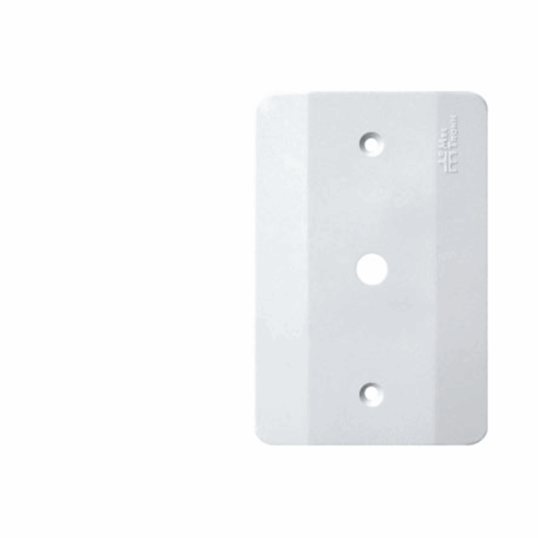 PLACA 2X4 1FURO MILLENIUM