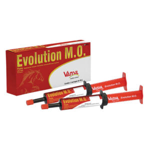 SUPL VITA SERINGA EVOLUTION M O 2X40G EQUINO VANSI PA000072