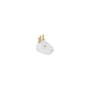 PINO MACHO 2P+T 10A GIG INTERNEED BC