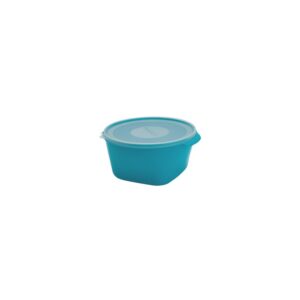 CREATIVE CONSERV 4LT COLOR PLASMONT