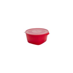 CREATIVE CONSERV 8LT COLOR PLASMONT