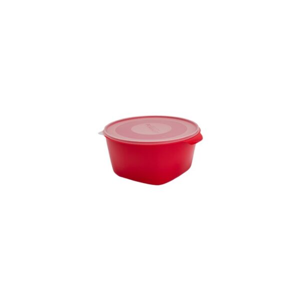 CREATIVE CONSERV 8LT COLOR PLASMONT