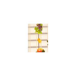 TOALHA TERM FRUTA 1.40X30M OPER ESTAMPADO