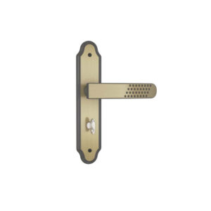 FECH BAN ALAV OXI 823/21 STAM 11494