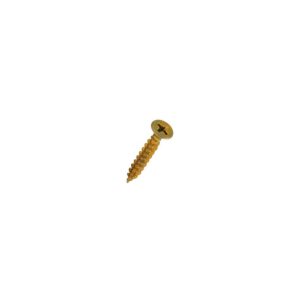 PARAF CHIP CH BICR 3.0X10 MCHIPCH3.0X10BC