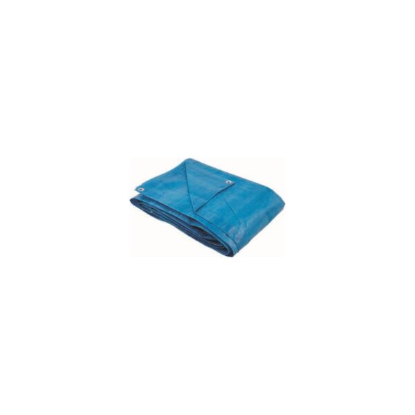 LONA PLAST LEVE 03X02M LAR DISMA 6158032000