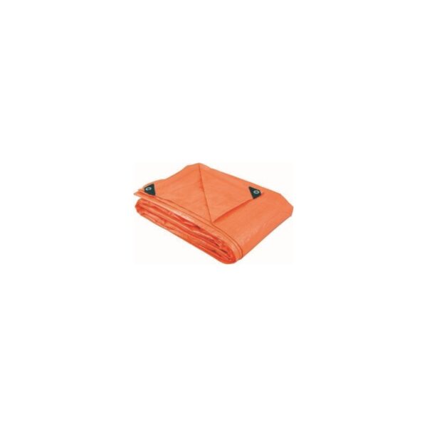 LONA PLAST LEVE 03X03M AZL DISMA 6157033000