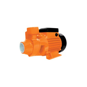 BOMBA AGUA PERIF BIVOLT 1CV INTECH BP1000-BIV