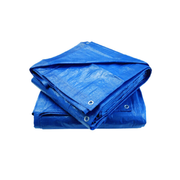 LONA PLAST LEVE 06X04M AZL OPER