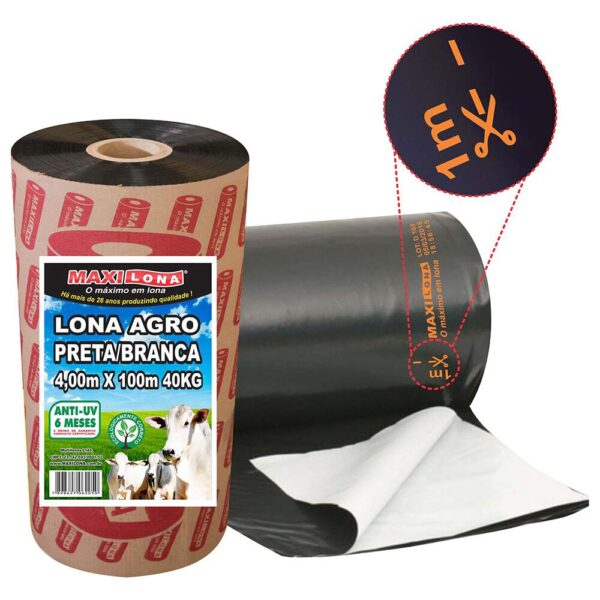 LONA PTA/BCA MAXILONA 06X100 60KG