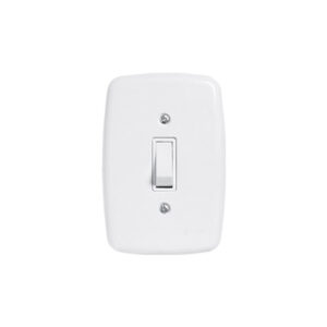 INTERRUP 1TC SIMPLES C/PL 2X4 10A PLUZIE