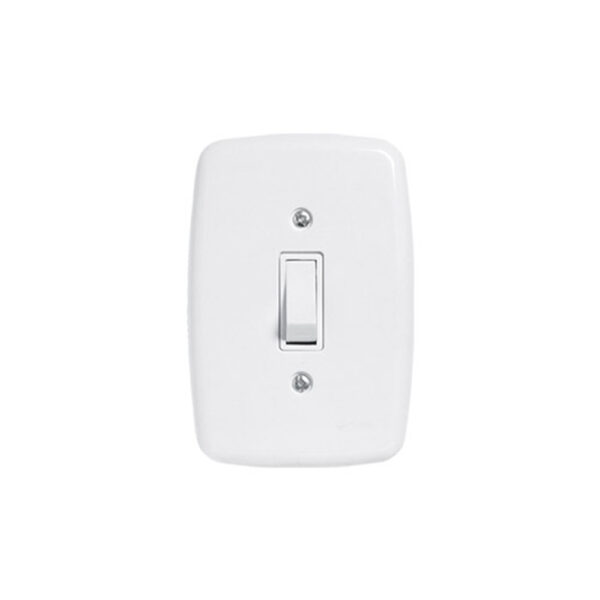 INTERRUP 1TC SIMPLES C/PL 2X4 10A PLUZIE