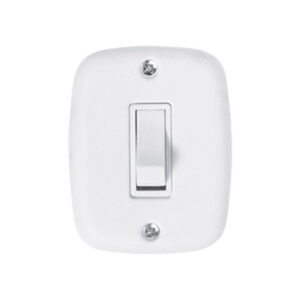 INTERRUP 1TC SIMPLES C/PL 2X4 10A SOBREPLUS PLUZIE