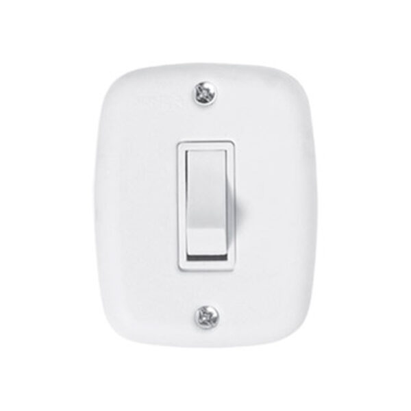 INTERRUP 1TC SIMPLES C/PL 2X4 10A SOBREPLUS PLUZIE